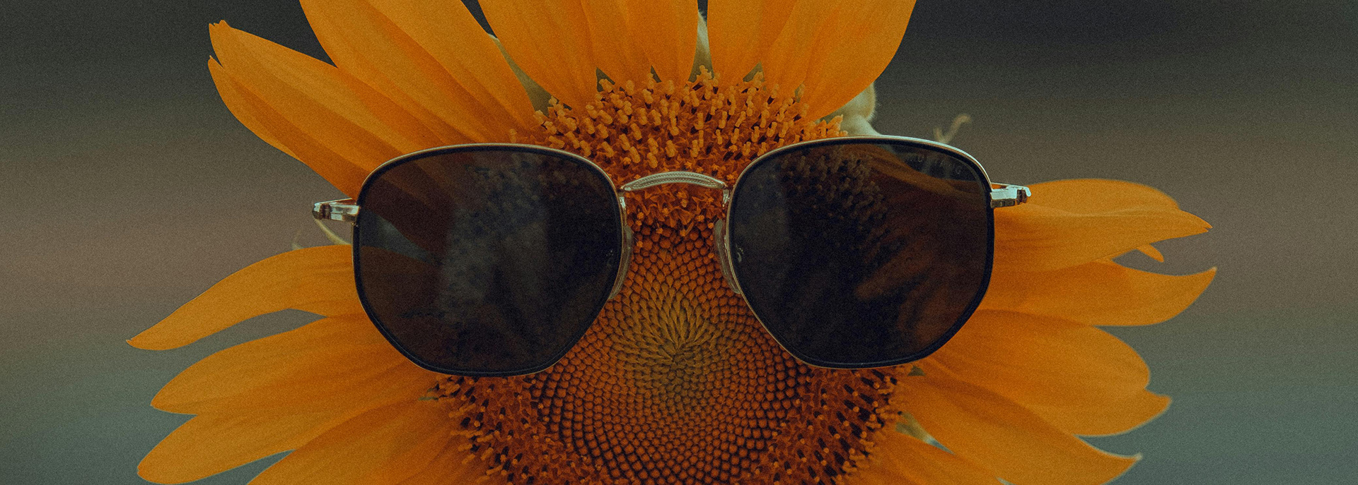 Pier One 1 Pier One -Pier One pexels atahandemir 13225134